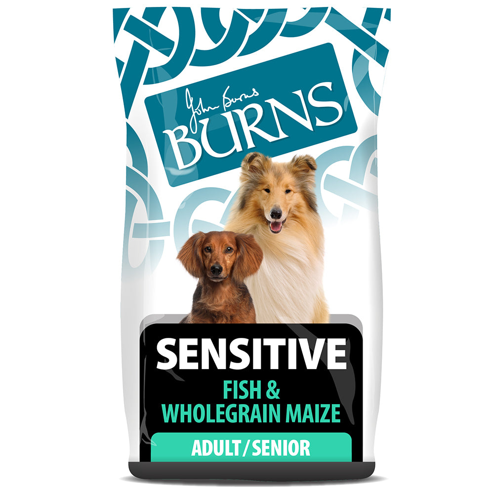 Burns Sensitive Fish & Wholegrain Maize Adult & Senior Dog Food - 6 kg