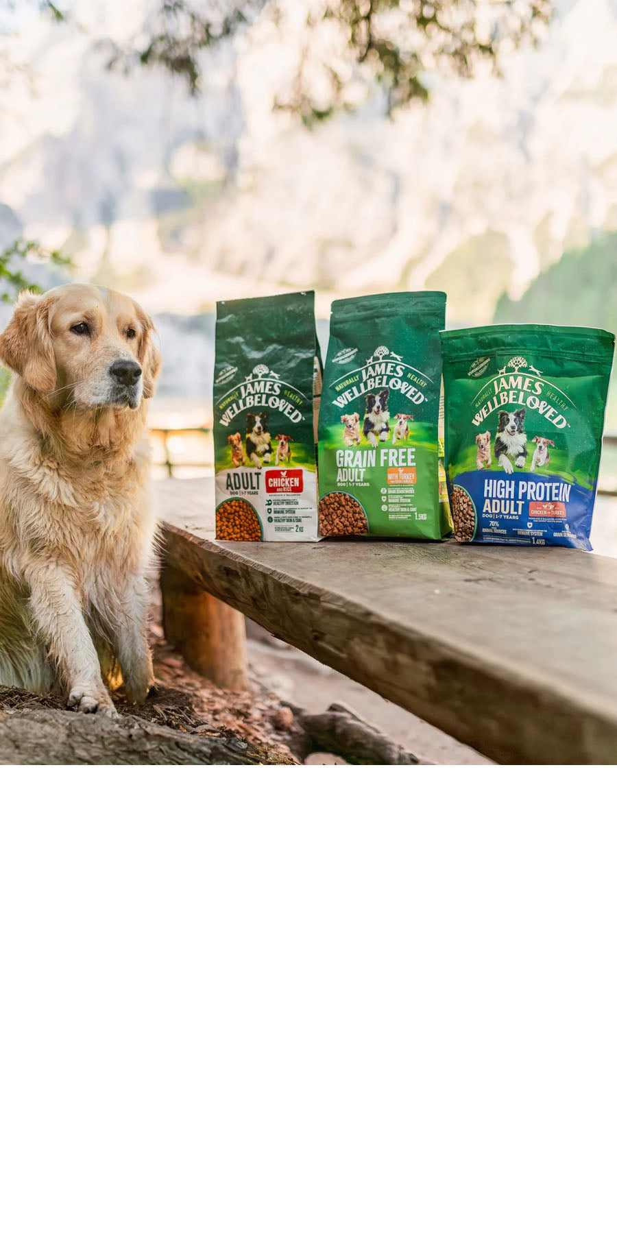 Picture of a dog beside three James Wellbeloved dry food range bags on a bench outside. 