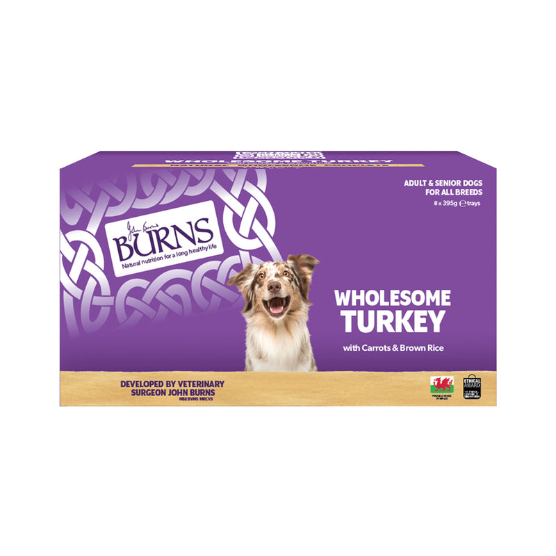 Burns Wholesome Turkey with Carrots & Brown Rice Wet Dog Food Trays