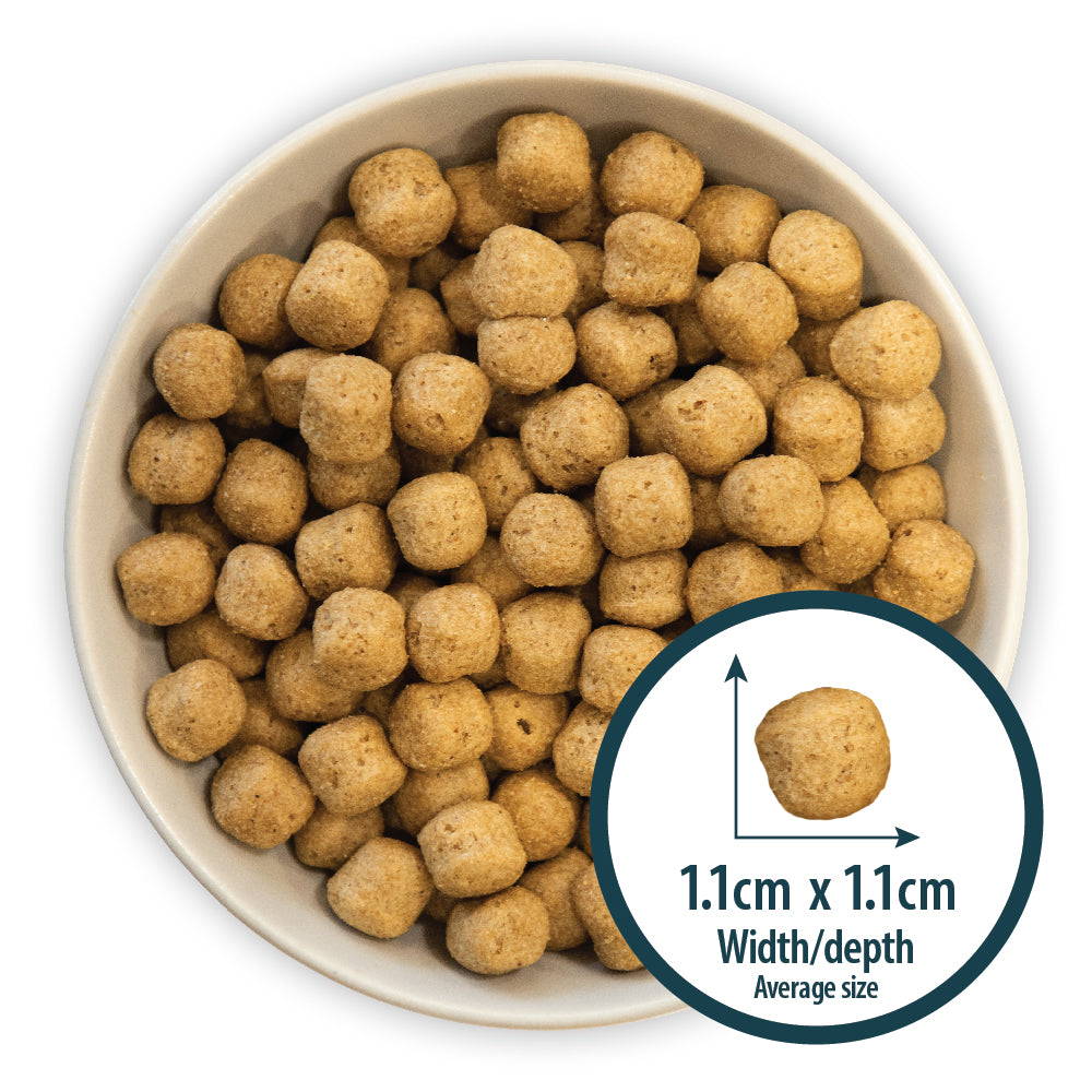 Burns Senior+ Chicken & Brown Rice Medium & Large Breed Dog Food