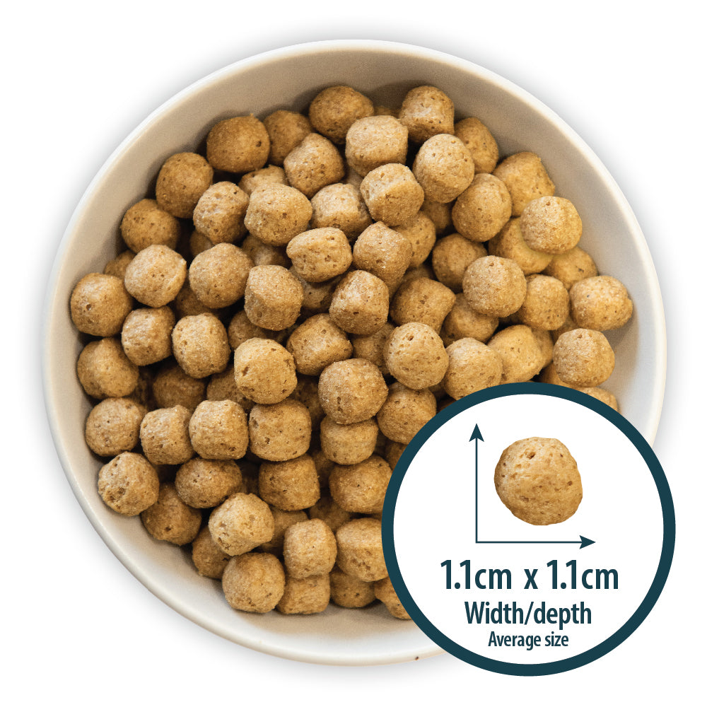 Burns Sensitive Duck & Rice Adult & Senior Dog Food