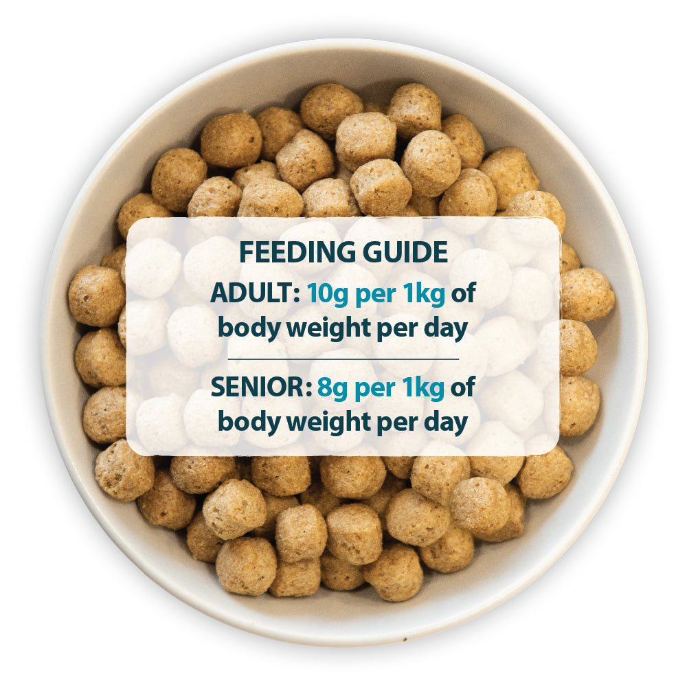 Burns Sensitive Duck & Rice Adult & Senior Dog Food