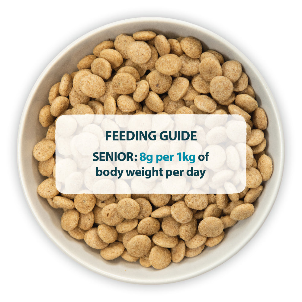 Burns Senior+ Chicken & Brown Rice Toy & Small Breed Dry Dog Food