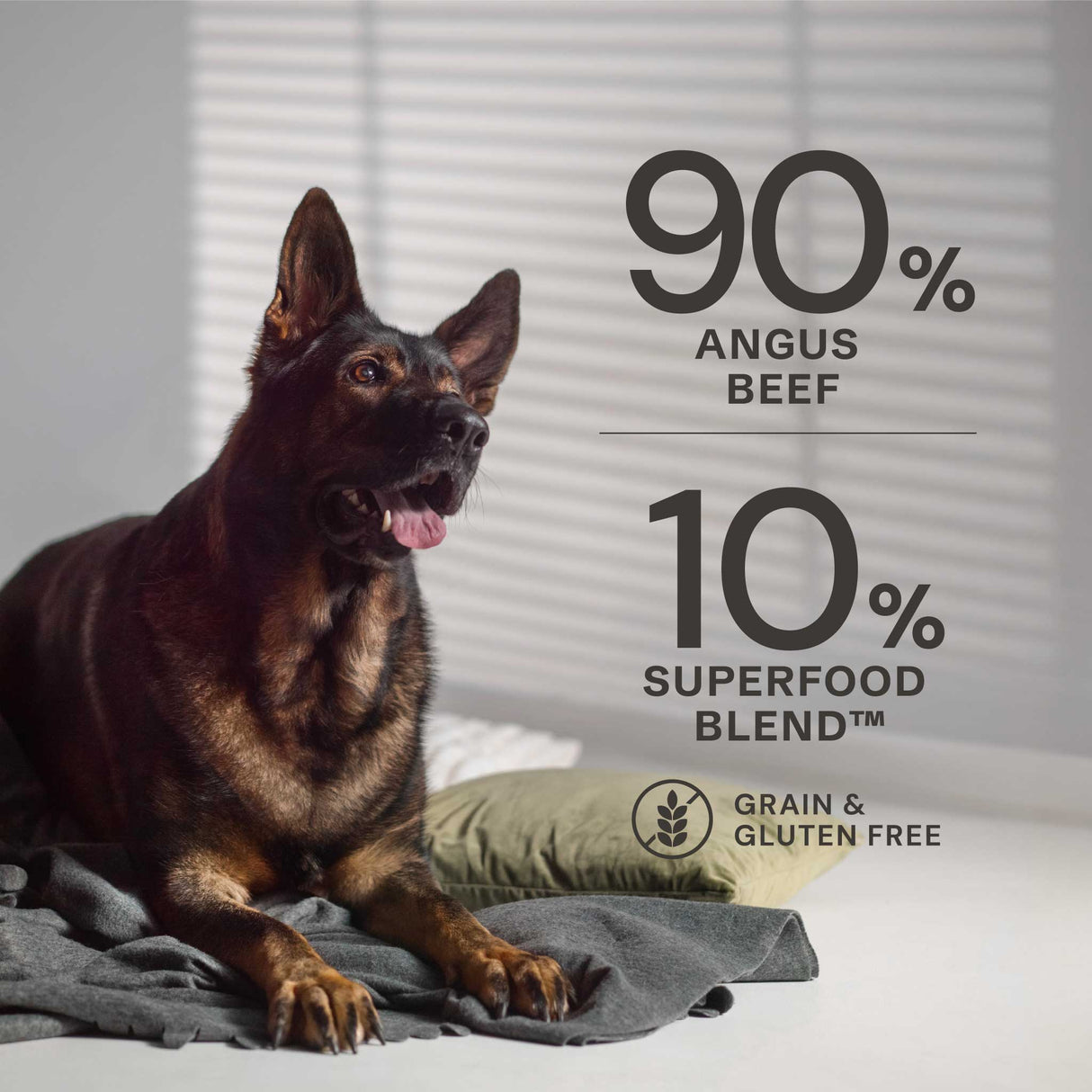 AATU Angus Beef Wet Dog Food, AATU, 6*400g