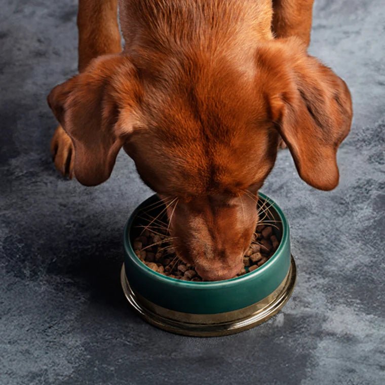 AATU Salmon Dry Food for Puppies, AATU, 1.5kg