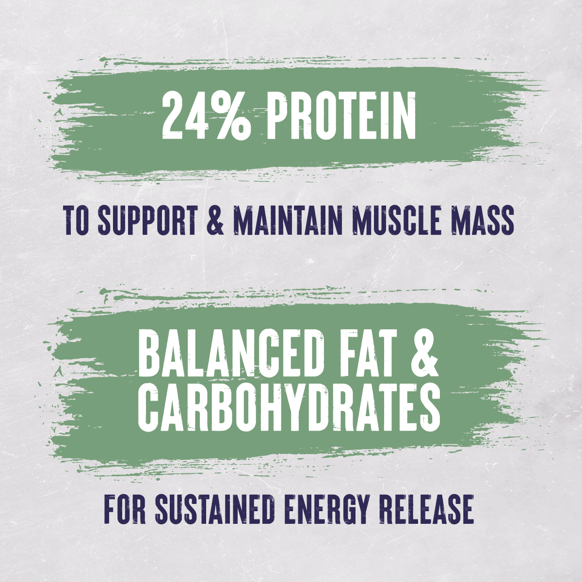 Alpha Junior & Sporting with Chicken & Rice Dry Dog Food - 15 kg, Alpha,