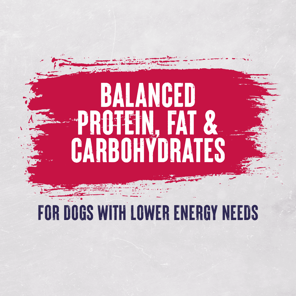 Alpha Working Maintenance with Beef Dry Adult Dry Dog Food - 15 kg, Alpha,