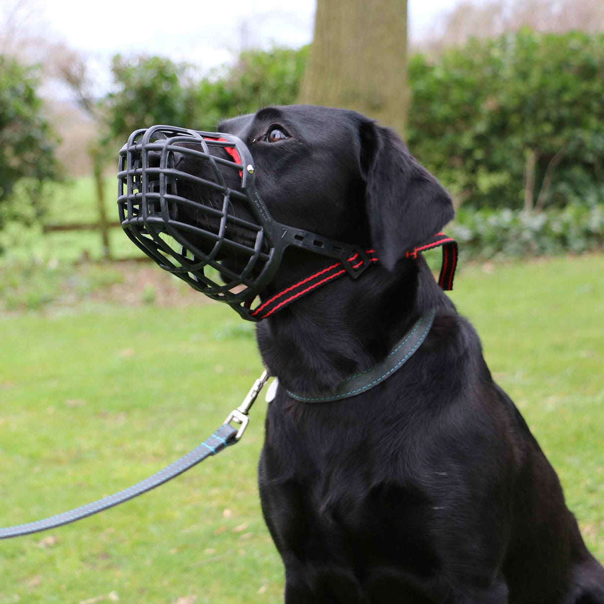 Ancol Basket Dog Muzzle, Ancol, Size 1 - 14 x 6.5cm