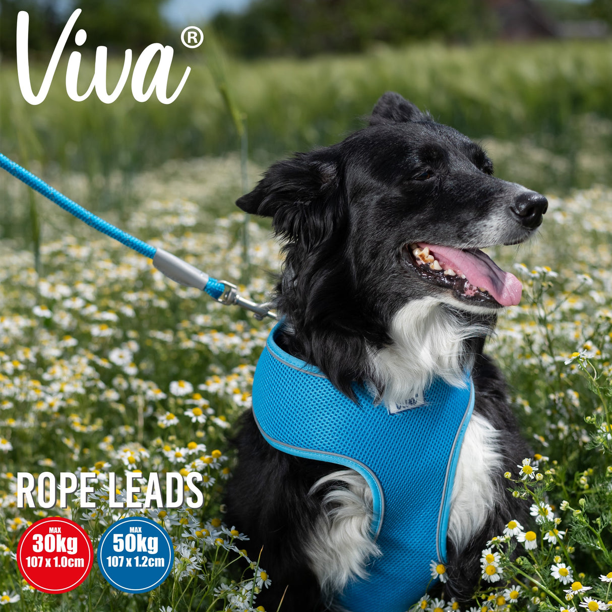 Ancol Viva Reflective Snap Dog Rope Lead, Ancol, Up to 30 kg