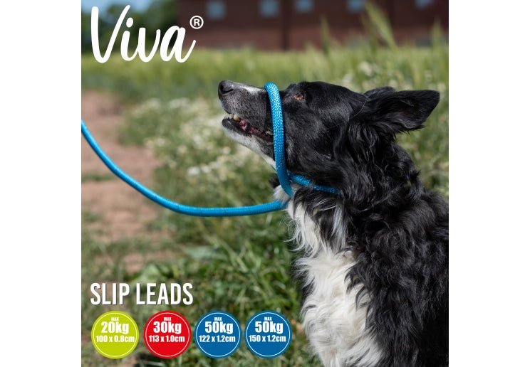 Ancol Viva Slip Rope Reflective Dog Lead, Ancol, 150 cm x 0.8 cm