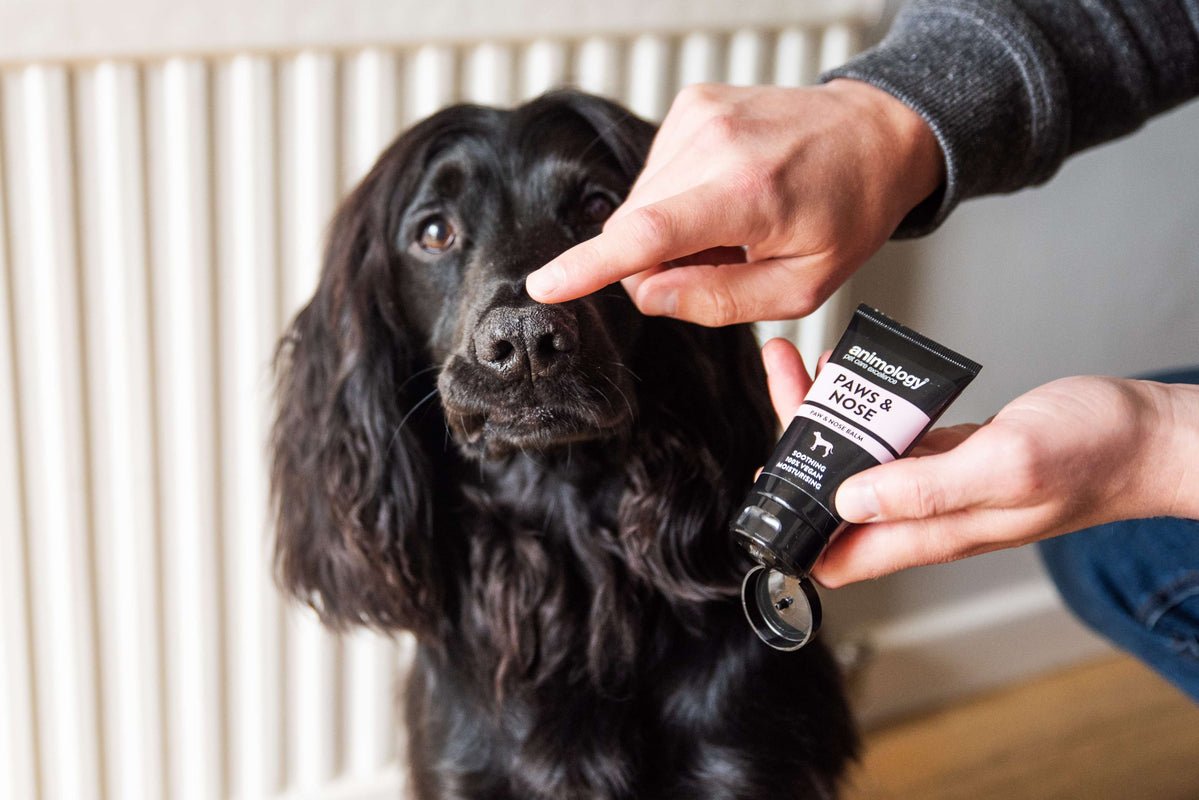 Animology Paws & Nose Balm - 6 x 50ml, Animology,