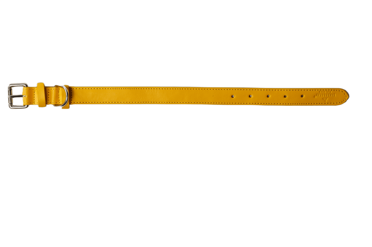 Baker & Bray Lemon Eco Friendly Leather Dog Collar, Baker & Bray, XS