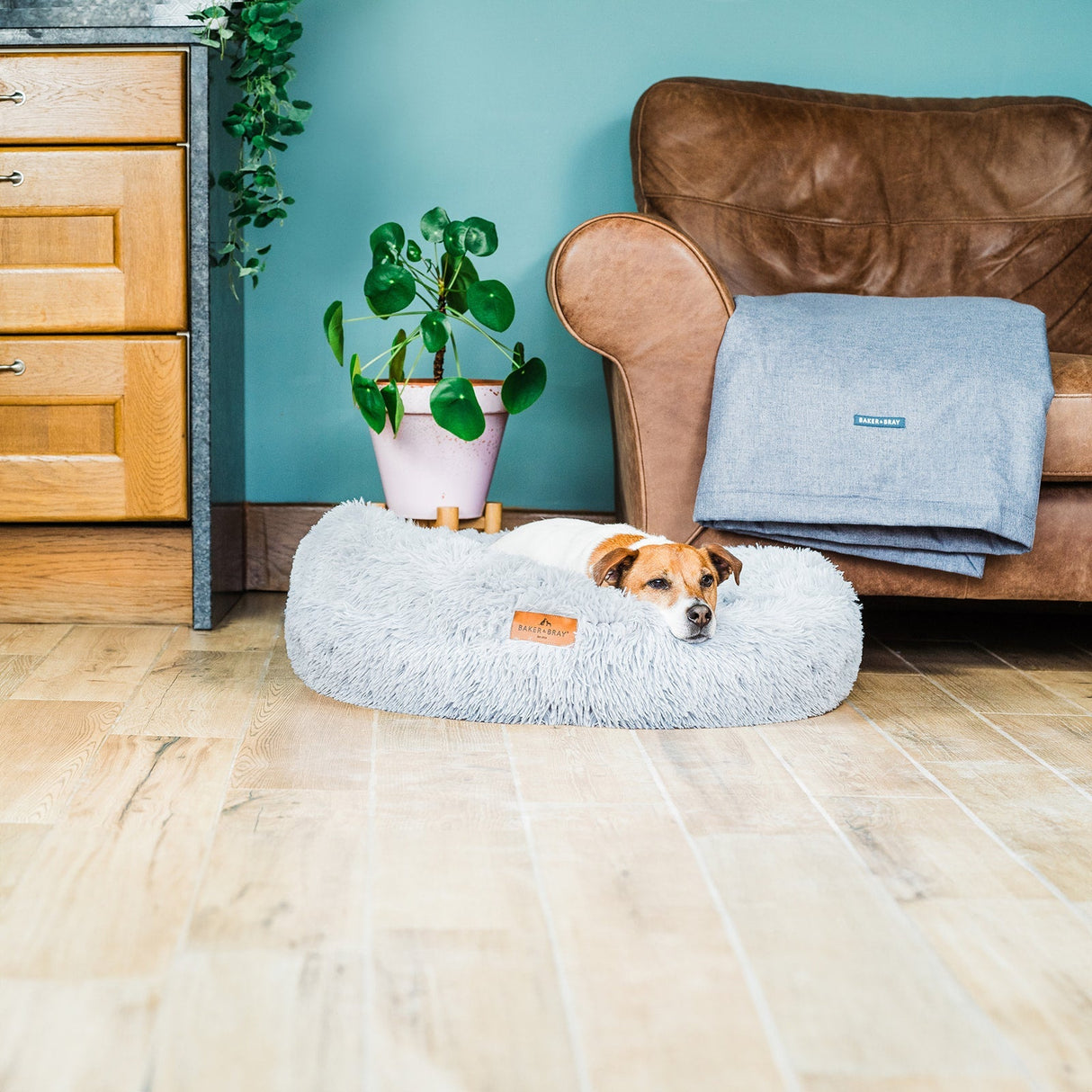 Baker & Bray The Donut - Light Grey Eco Friendly Luxury Calming Donut Dog Bed, Baker & Bray, Small (60cm)