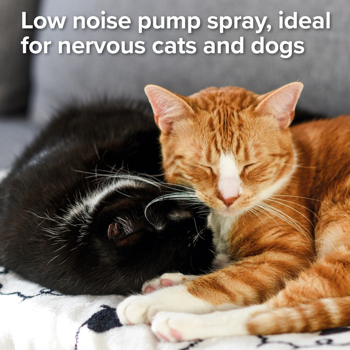 Beaphar Flea Spray for Cats & Dogs - 150ml x 6 Pack, Beaphar,