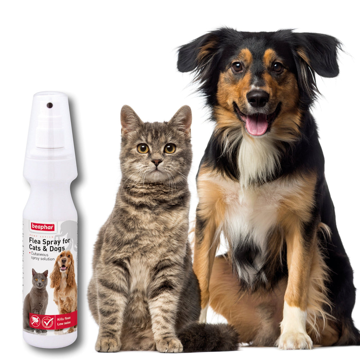 Beaphar Flea Spray for Cats & Dogs - 150ml x 6 Pack, Beaphar,