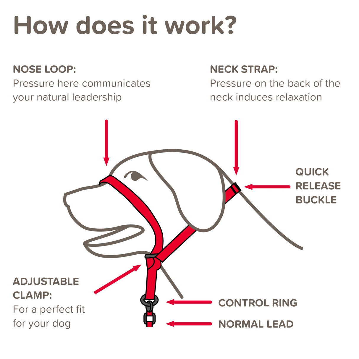 Beaphar Gentle Leader Black Head Collar for Medium Dogs, Beaphar,