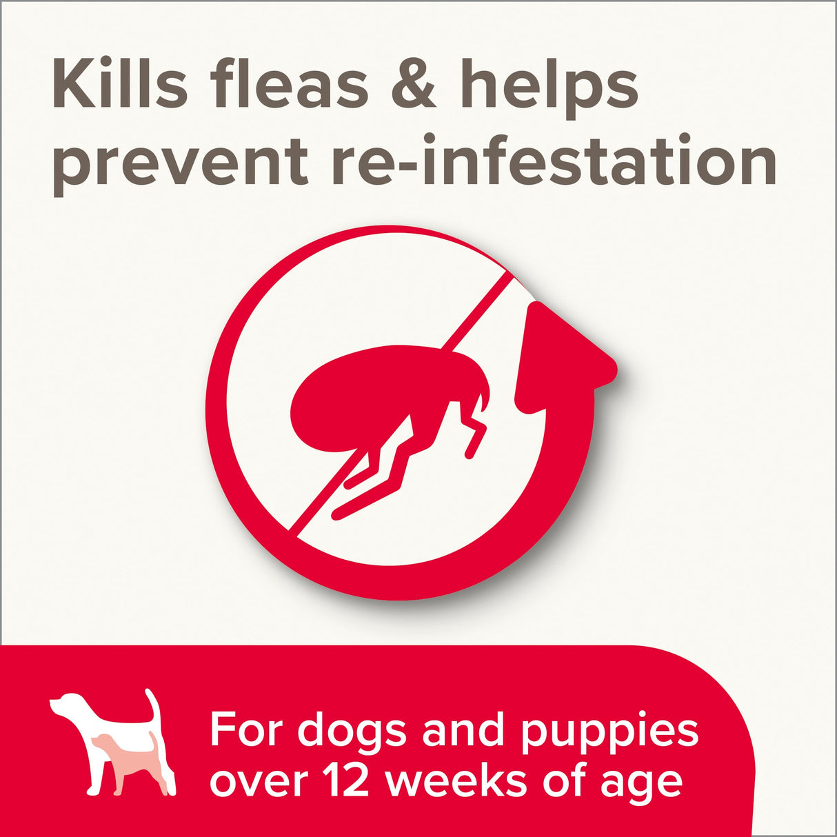 Beaphar Insecticidal Shampoo for Dogs - 250ml x 6, Beaphar,