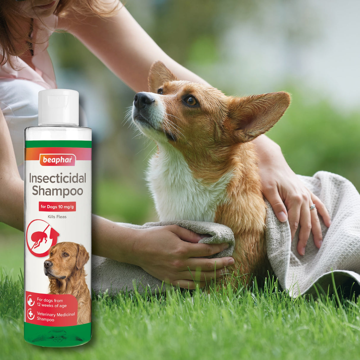 Beaphar Insecticidal Shampoo for Dogs - 250ml x 6, Beaphar,
