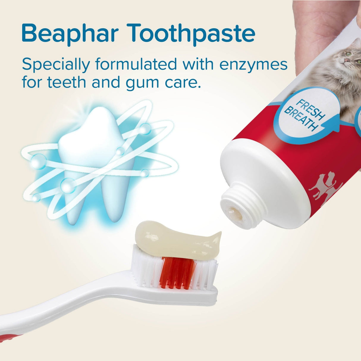 Beaphar Toothbrush & Toothpaste Kit for Cats & Dogs - 6 Pack, Beaphar,