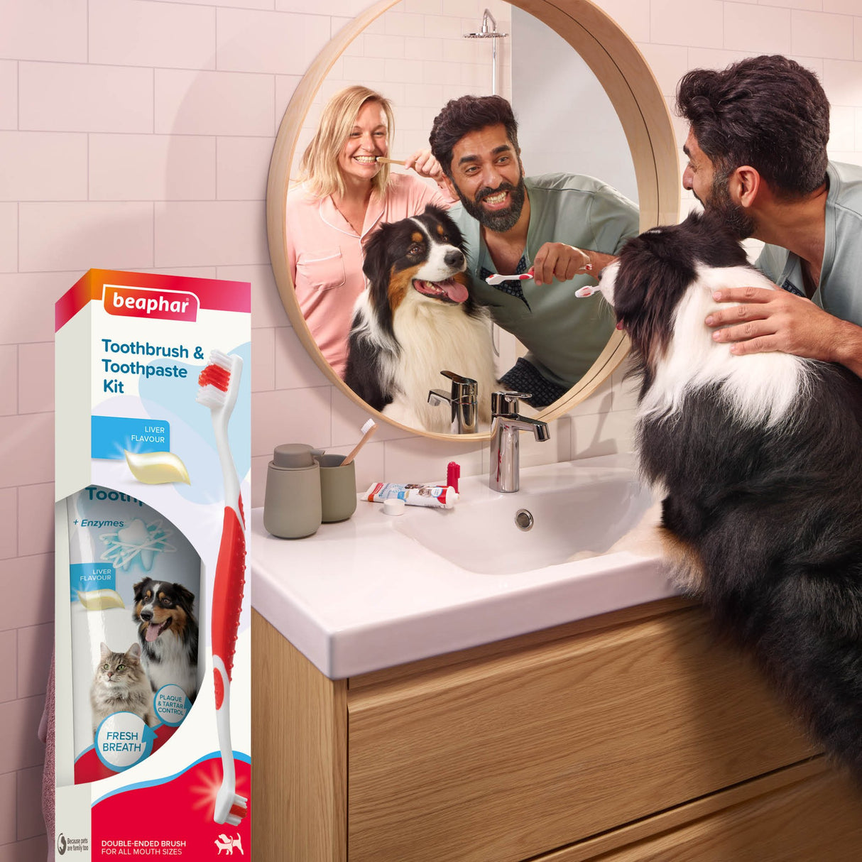 Beaphar Toothbrush & Toothpaste Kit for Cats & Dogs - 6 Pack, Beaphar,