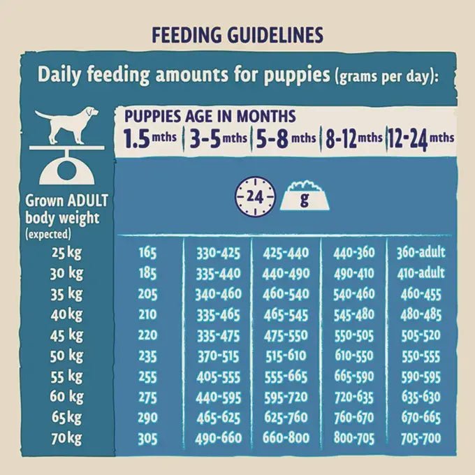 BETA Puppy Large Breed Turkey Dry Dog Food, PURINA BETA, 14 kg