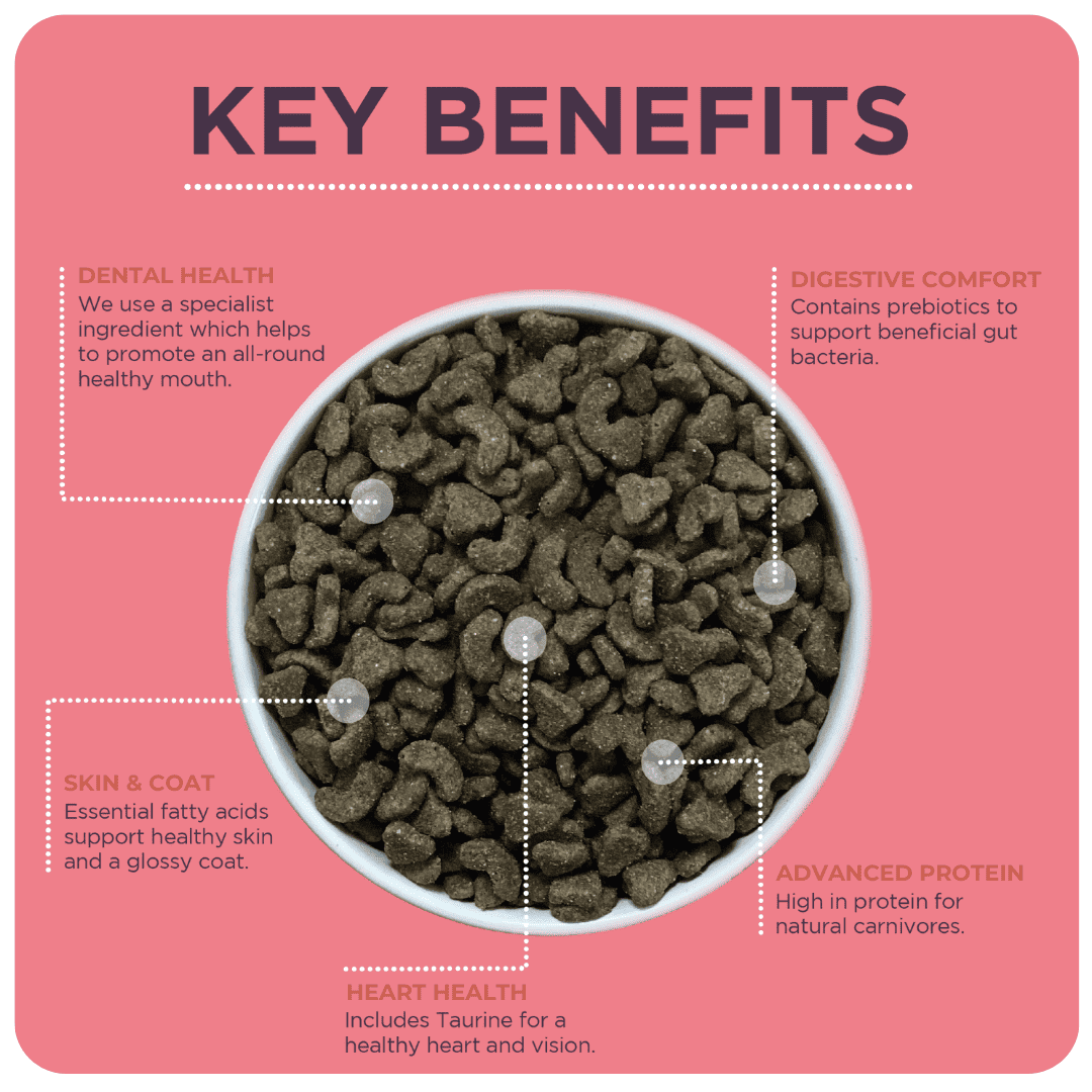 Burgess Adult Cat Rich in Salmon Dry Food, Burgess, 10 kg