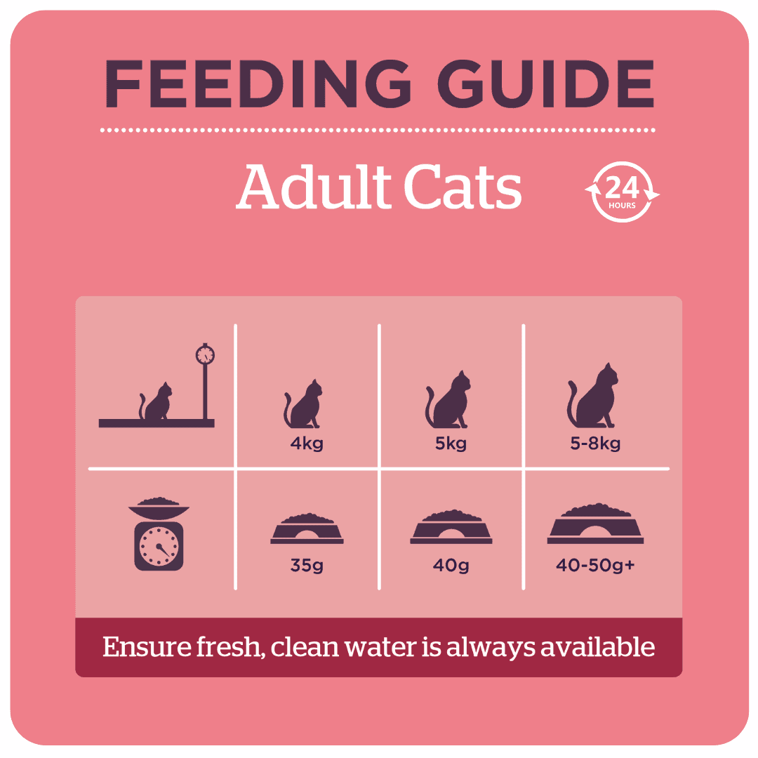 Burgess Mature Cat with Turkey & Cranberry Dry Food, Burgess, 4 kg