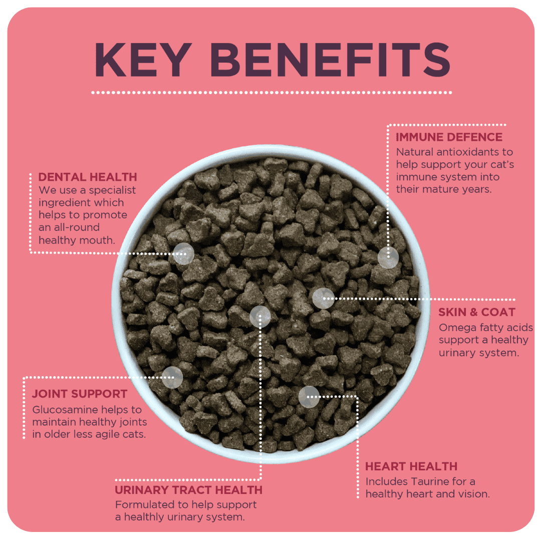 Burgess Mature Cat with Turkey & Cranberry Dry Food, Burgess, 4 kg