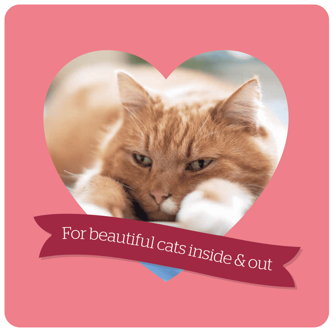 Burgess Mature Cat with Turkey & Cranberry Dry Food, Burgess, 4 kg