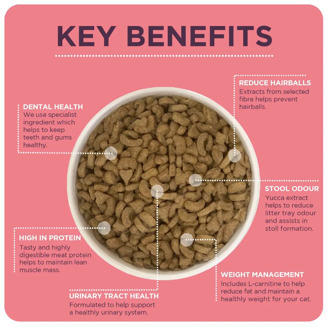 Burgess Neutered Cat with Chicken Dry Food, Burgess, 10 kg