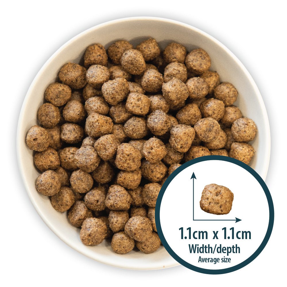 Burns Adult Dog Food Grain Free Duck & Potato, Burns, 12 kg