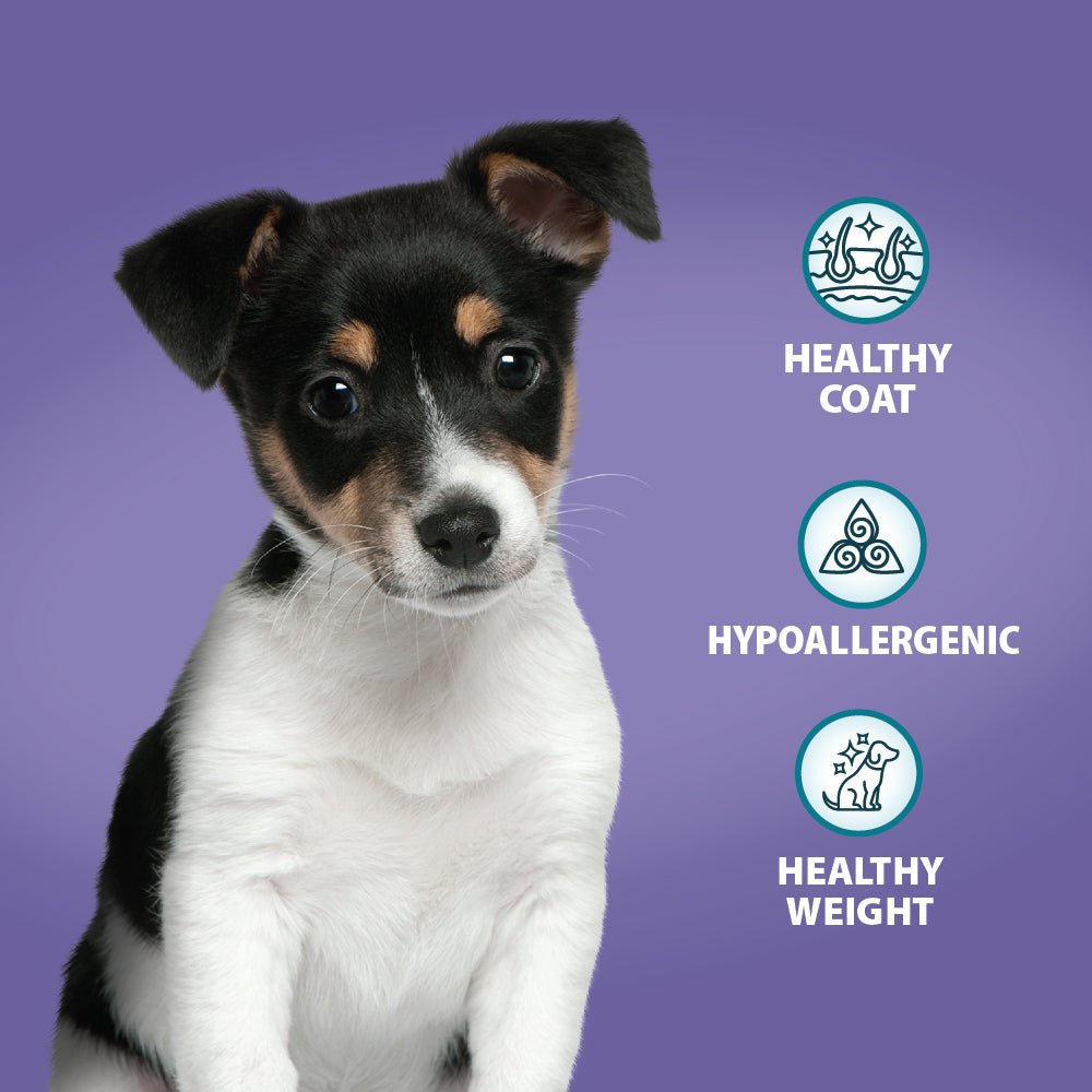 Burns Grain Free Duck & Potato Puppy Food, Burns, 6 kg