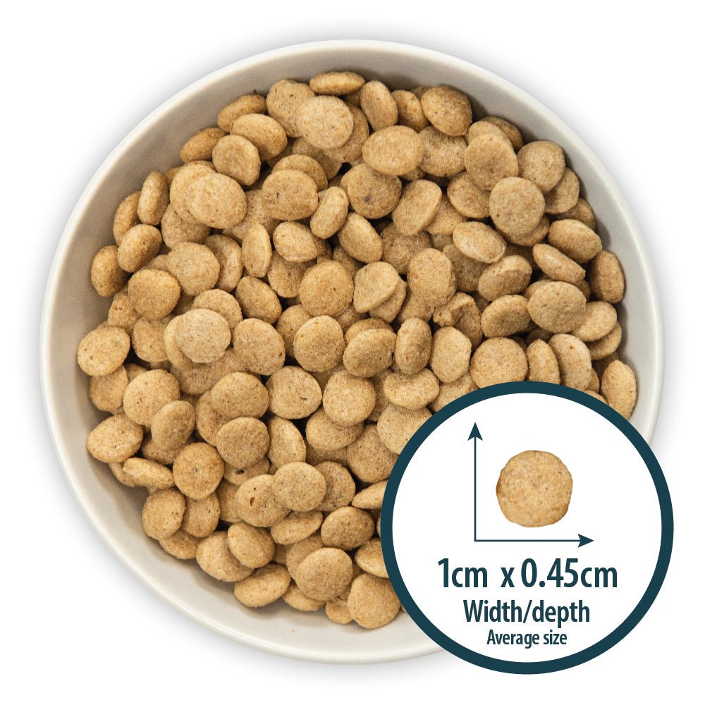 Burns Senior+ Chicken & Brown Rice Toy & Small Breed Dry Dog Food, Burns, 6 kg