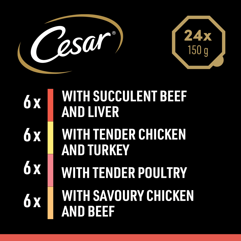 Cesar Country Stew Tray Mixed Selection in Gravy - 24 x 150g Adult Wet Dog Food, Cesar,