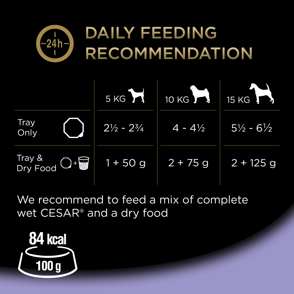 Cesar Juicy Hotpot Adult Wet Dog Food Trays Mixed in Gravy - 24 x 150g, Cesar,