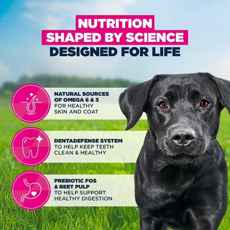 Eukanuba Adult Large Breed Fresh Chicken Dry Dog Food, Eukanuba, 12 kg