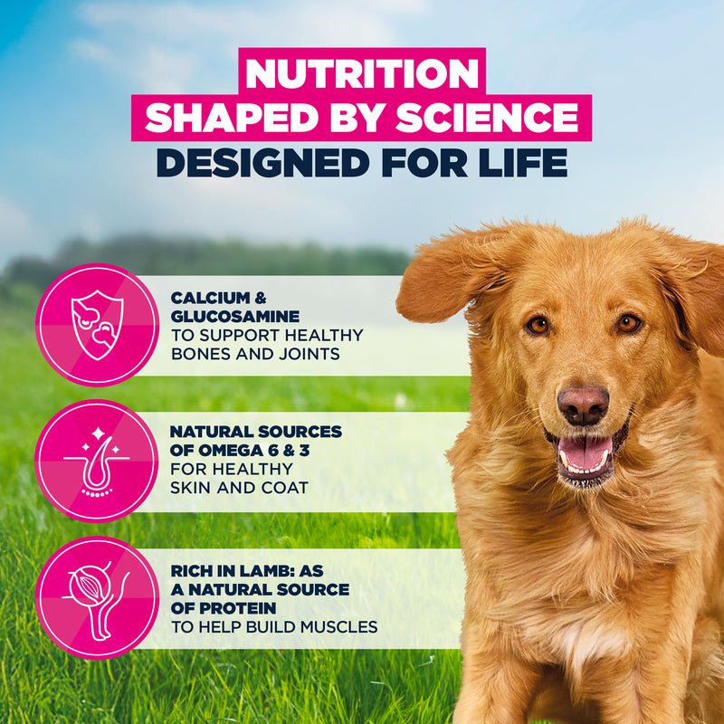 Eukanuba Adult Large Breed Lamb & Rice Dry Dog Food, Eukanuba, 12 kg