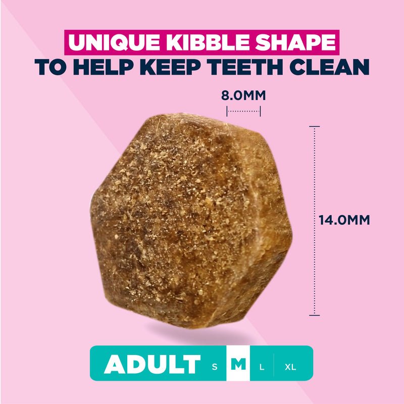 Eukanuba Adult Medium Breed Fresh Chicken Dry Dog Food, Eukanuba, 12 kg