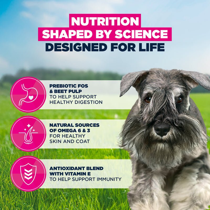 Eukanuba Adult Small Breed Fresh Chicken Dry Dog Food, Eukanuba, 3 x 3 kg