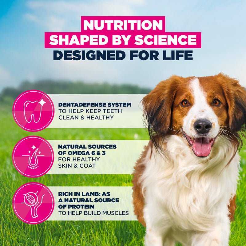 Eukanuba Adult Small/Medium Breed Lamb & Rice Dry Dog Food, Eukanuba, 3 x 3 kg