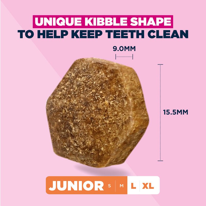 Eukanuba Junior Large Breed Fresh Chicken Dry Dog Food - 12 kg, Eukanuba,