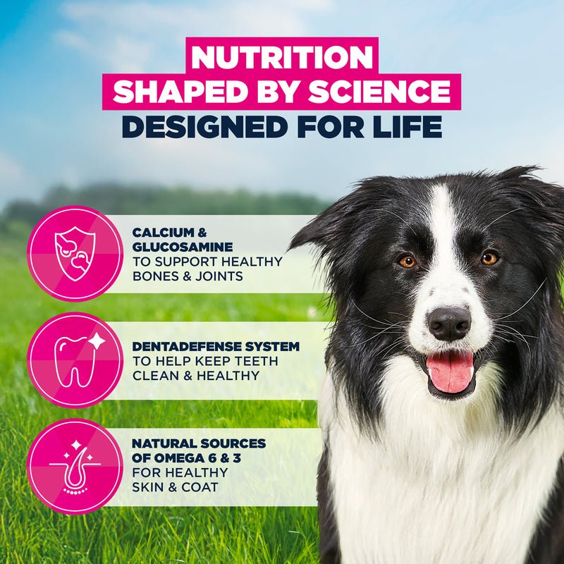 Eukanuba Mature Medium Breed Fresh Chicken Dry Dog Food, Eukanuba, 12 kg