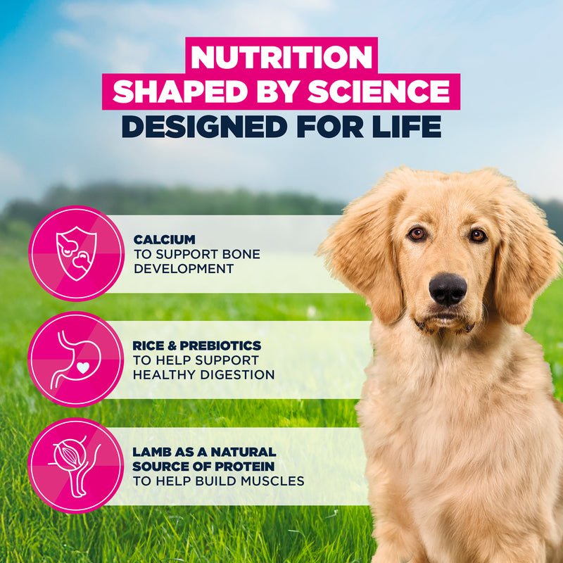 Eukanuba Puppy Large Breed Lamb & Rice Dry Dog Food, Eukanuba, 12 kg