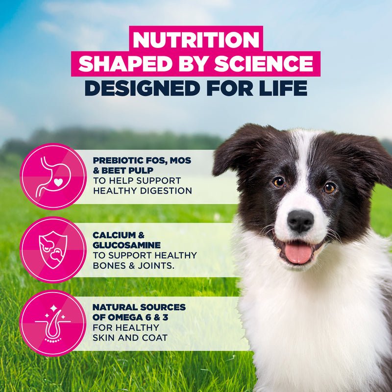 Eukanuba Puppy Medium Breed Fresh Chicken Dry Dog Food, Eukanuba, 12 kg