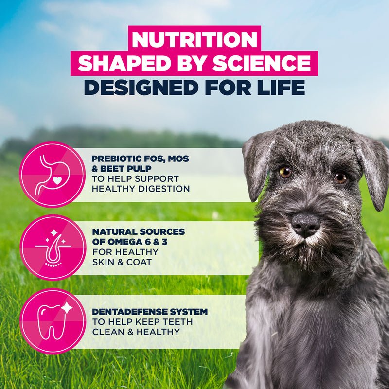 Eukanuba Small Breed Puppy Fresh Chicken Dry Dog Food, Eukanuba, 7.5 kg