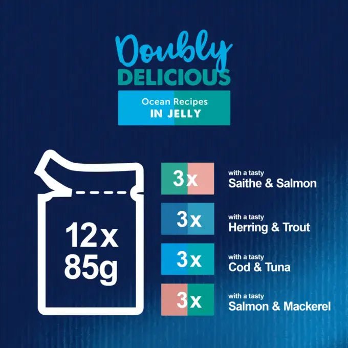 Felix Doubly Delicious Ocean Recipes in Jelly Wet Cat Food - 48 x 85g, Felix,