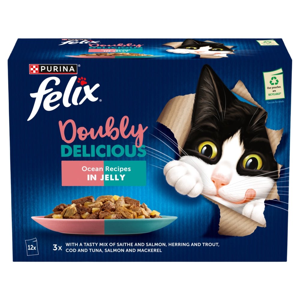 Felix Doubly Delicious Ocean Recipes in Jelly Wet Cat Food - 48 x 85g, Felix,