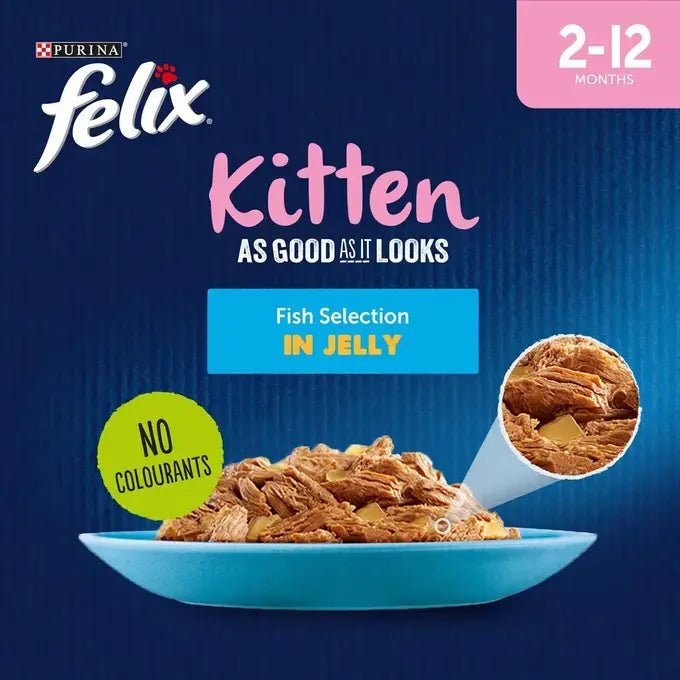 Felix Kitten As Good As It Looks Fish Selection in Jelly Wet Cat Food 48x85g, Felix,