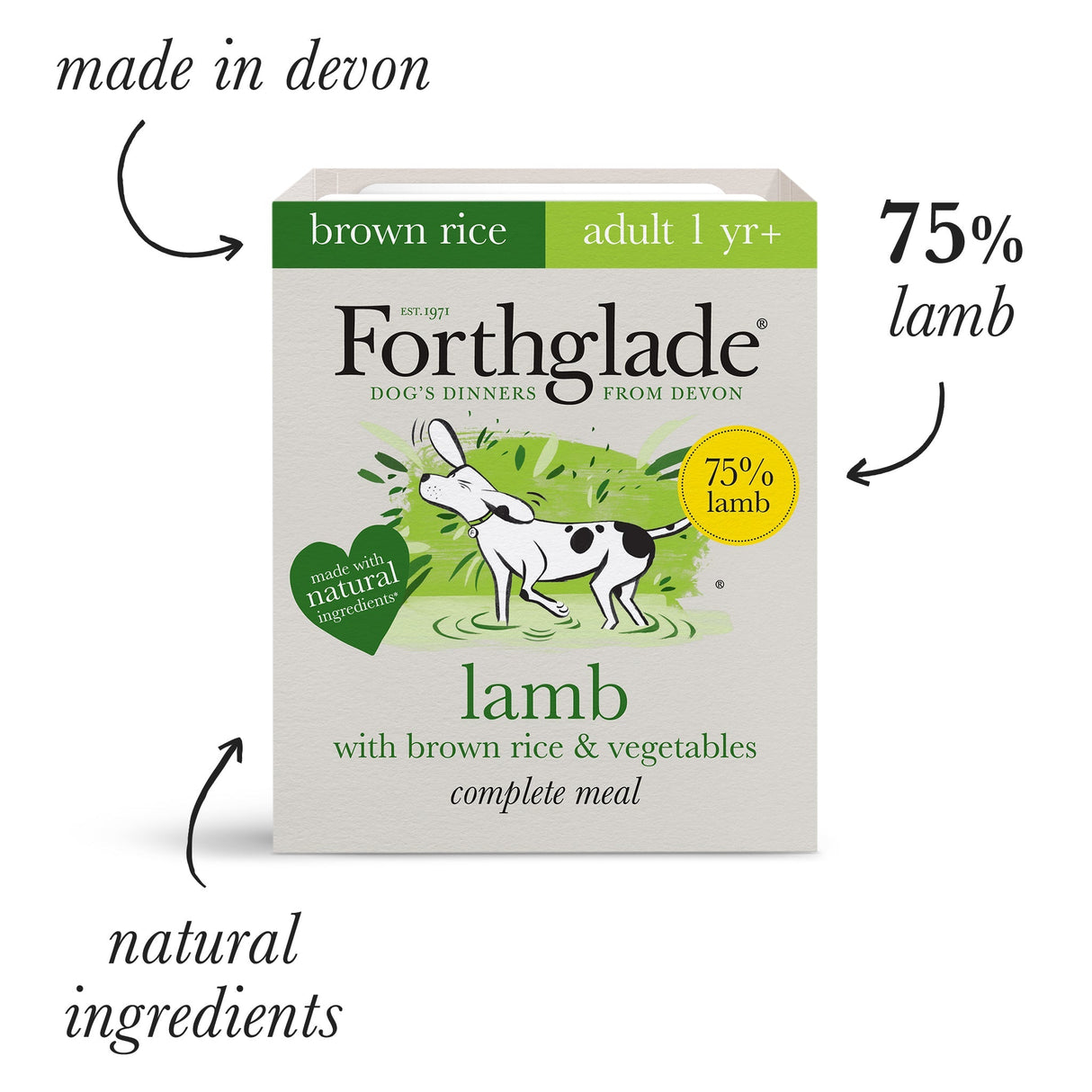 Forthglade Adult Dog Complete Lamb with Brown Rice & Veg Wet Dog Food 18x395g, Forthglade,