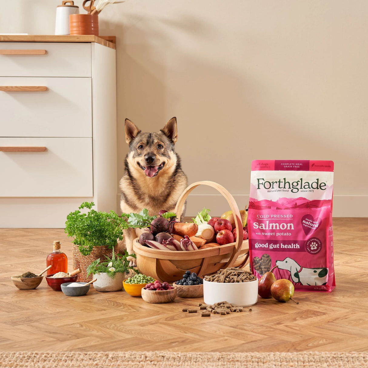 Forthglade Cold Pressed Salmon Grain Free Dry Dog Food, Forthglade, 6 kg